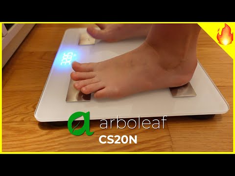 Recensione Bilancia smart ARBOLEAF CS20N