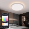 BlitzWolf® BW-CLT1 LED Plafoniera intelligente con luce principale e luce atmosfera RGB 2700-6500K APP temperatura regolabile remoto Controllo modalità scena opzionale e fai da te