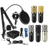 GAM-800P Microfono Registrazione audio a condensatore Microfono Kit con Phantom Alimentazione per Radio Braodcasting Canto Registrazione KTV Karaoke Mic
