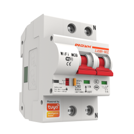 Tuya Smart Life 10A-125A 2P WiFi Smart Circuit Breaker Protezione da cortocircuito da sovraccarico Funziona con Alexa Google Home