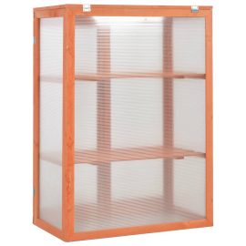 Coupon Greenhouse 75x47x109 cm Wood