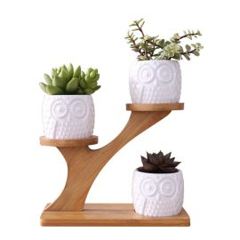 Coupon 3Pcs Sets Owl Succulent Pot Ceramic Garden Flower Planter Holder Bamboo Stand
