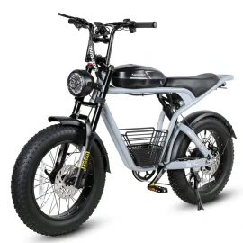 Coupon SAMEBIKE M20-FT 48V 18AH 1000W Electric Bicycle 20*4.0Inch 95-100KM Mileage Range Max Load 150KG