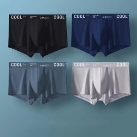 Coupon 4Pcs Men’s Underwear Thin Boxer Briefs Ice Silk Boxer Panties Set Mens Underpants Comfy Breathable Antibacterial Elastic Briefs Plus Size L-5XL