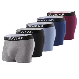 Coupon 5pcs Men’s Underwear, Fashion Breathable Soft Comfy Skin-Friendly Elastic Waistbands Shorts Boxer Briefs