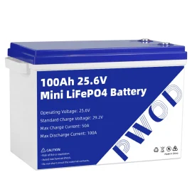 Coupon PWOD 25.6V 100Ah 2560Wh Mini LiFePO4 Battery Storage Box RV and Boat Lithium Battery Built in BMS IP65 Protection